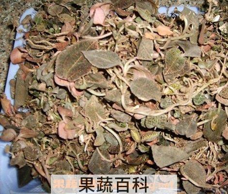 石榴根