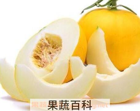  伊丽莎白瓜怎么挑 伊丽莎白瓜的吃法