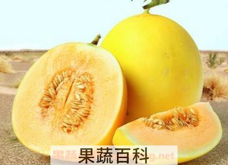  伊丽莎白瓜怎么挑 伊丽莎白瓜的吃法