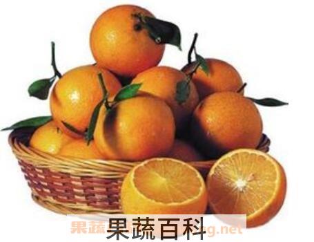 药橙的功效与作用 药橙怎么吃效果最好