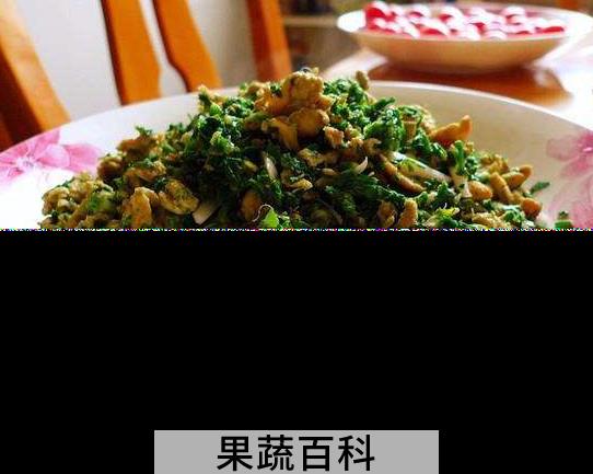 清明菜怎么吃 清明菜怎么晒干