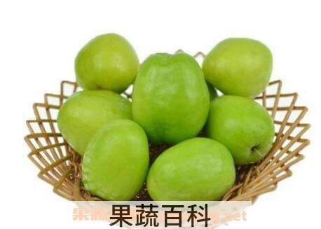 青枣山楂的功效与作用