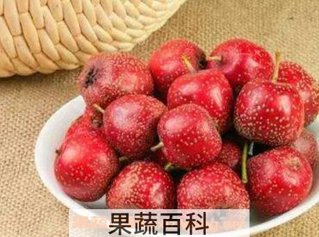 青枣山楂的功效与作用