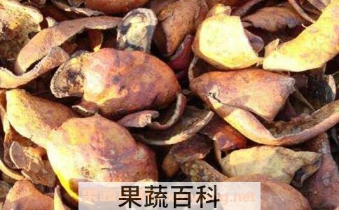 石榴皮
