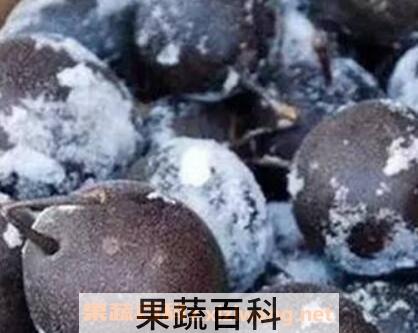 冻梨与什么相克