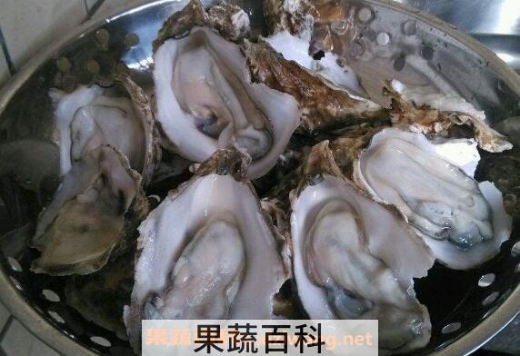 生蚝怎么吃最好 生蚝的食用方法技巧