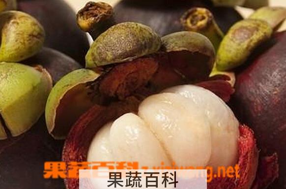 果蔬百科山竹好坏的辨别方法