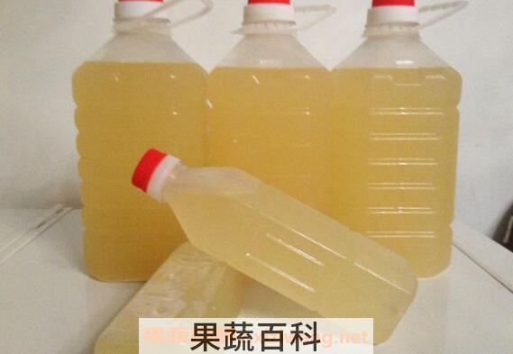 自制糯米酒的正确方法