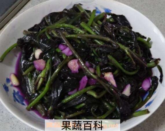 观音菜什么人不能吃 观音菜的营养价值