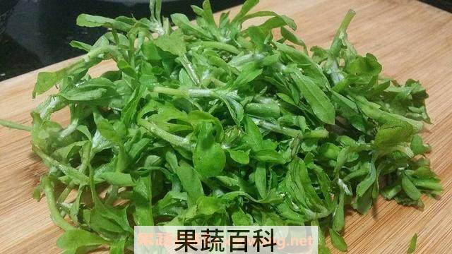 清明菜和艾草的区别