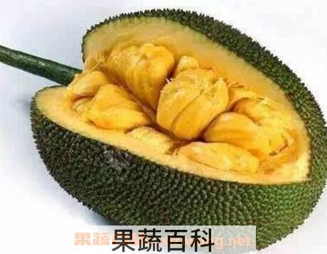 榴莲菠萝蜜怎么吃图解