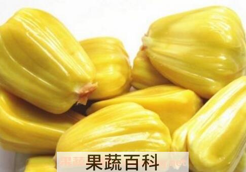 没熟的菠萝蜜怎么吃