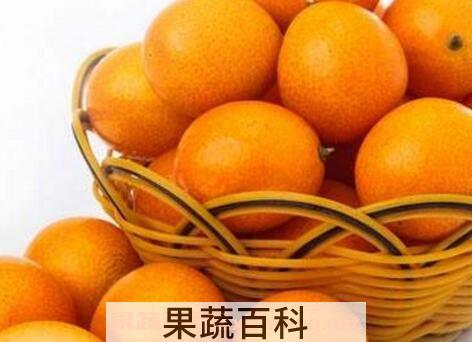 吃金桔的好处与功效作用