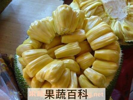 菠萝蜜的花瓣怎么吃