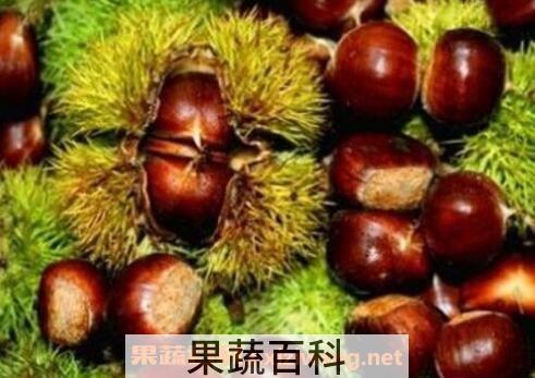 吃栗子的好处与功效与作用