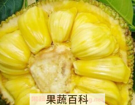 整个的菠萝蜜怎么吃