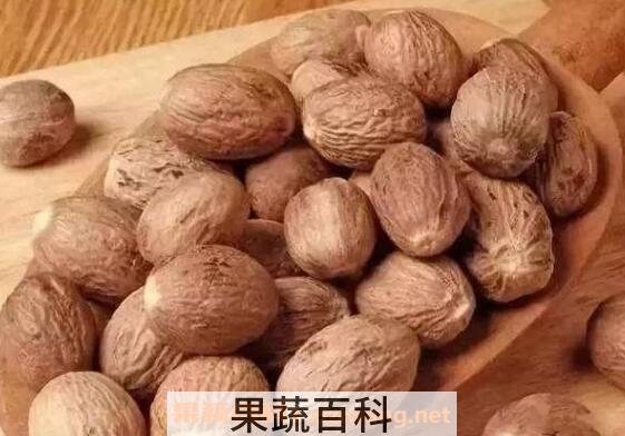 肉蔻和豆蔻的区别