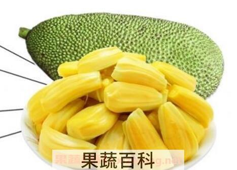 青菠萝蜜怎么吃图解