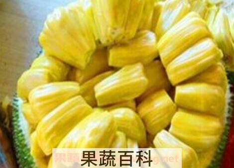 青菠萝蜜怎么吃图解