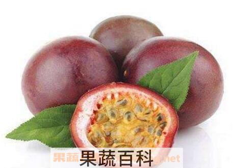 百香果种子怎么种植