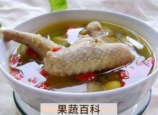 鸽子汤的功效与作用及食用禁忌