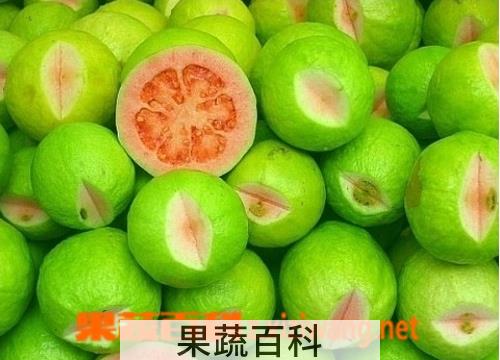 果蔬百科无花果