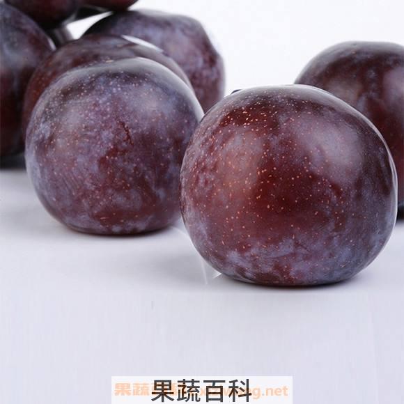 黑李子