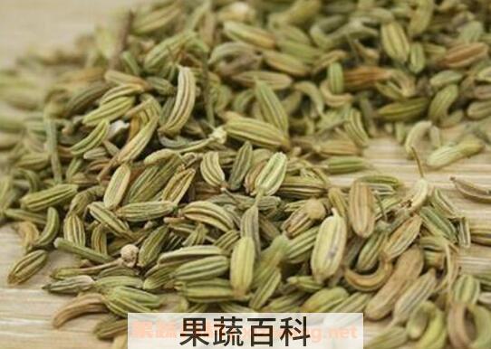 小茴香的功效与作用 小茴香的药用价值