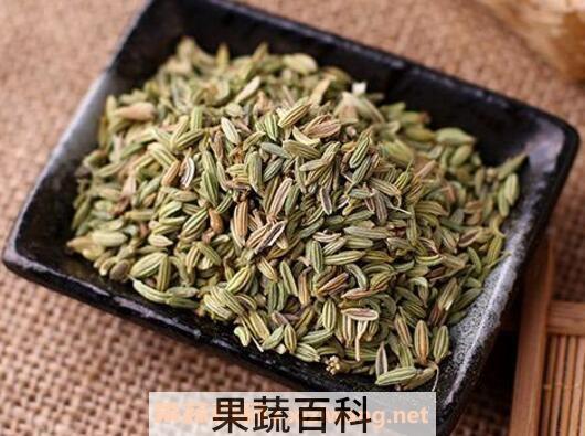 小茴香的功效与作用 小茴香的药用价值