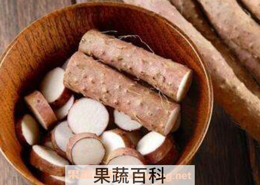 哪些食物能养胃 常见养胃的食物介绍