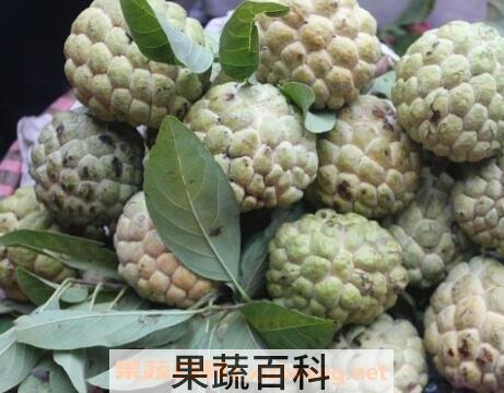越南番菠萝怎么吃