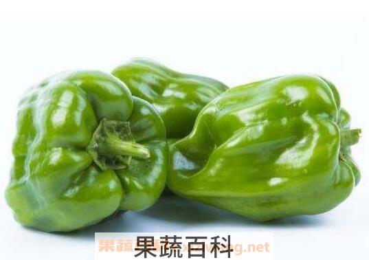 柿子椒的功效与作用