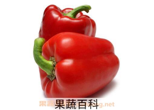 柿子椒的功效与作用