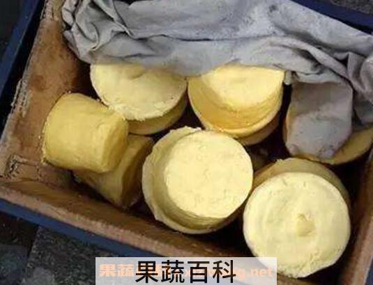 酥油是什么 酥油的功效与作用及禁忌