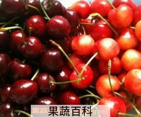 樱桃和车厘子的区别