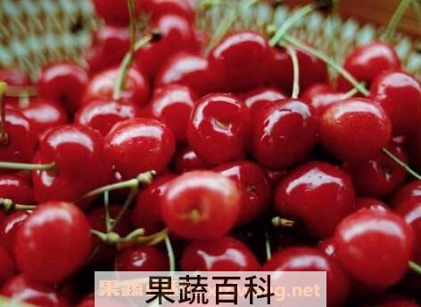 樱桃和车厘子的区别
