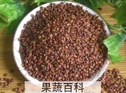 葡萄籽的作用和副作用