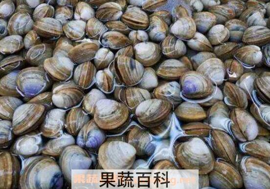 花蛤如何判断是活的 如何判断花蛤能不能吃