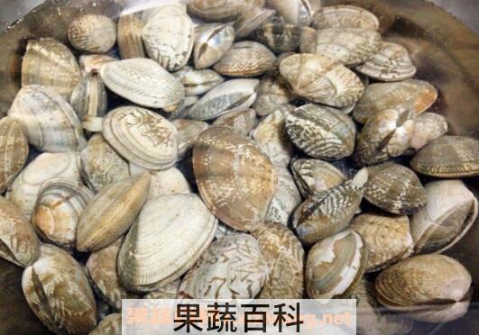 花蛤如何判断是活的 如何判断花蛤能不能吃