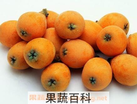 琵琶果的药用价值