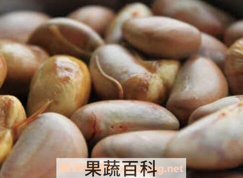 菠萝蜜的核怎么吃 菠萝蜜核的功效与作用