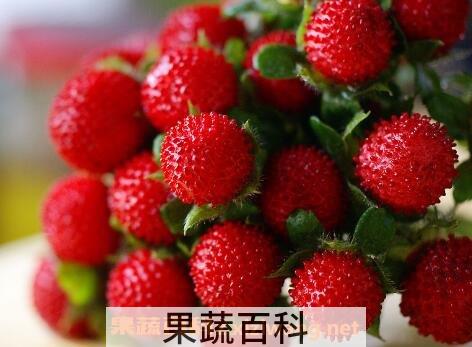 野草莓怎么吃 野草莓的功效与作用