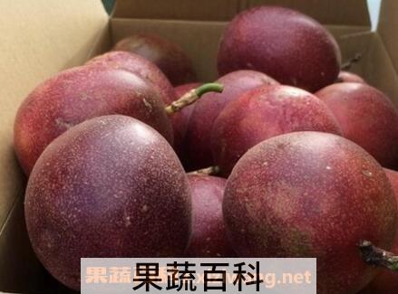 百香果皮可以吃吗 百香果皮怎么吃