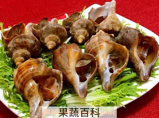 海螺怎么洗最快最干净