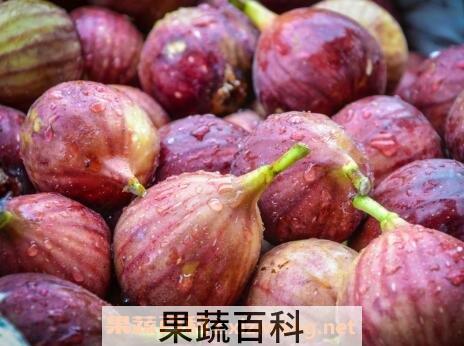 无花果不能和什么同食