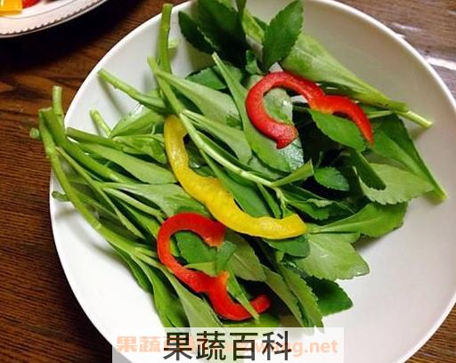 救心菜怎么吃 救心菜的家常吃法