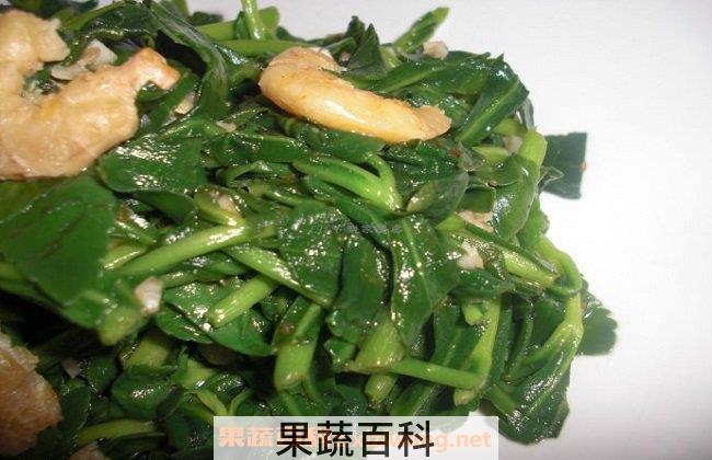 救心菜怎么吃 救心菜的家常吃法