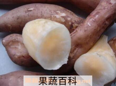 雪莲果怎么吃最好 雪莲果最有营养的吃法