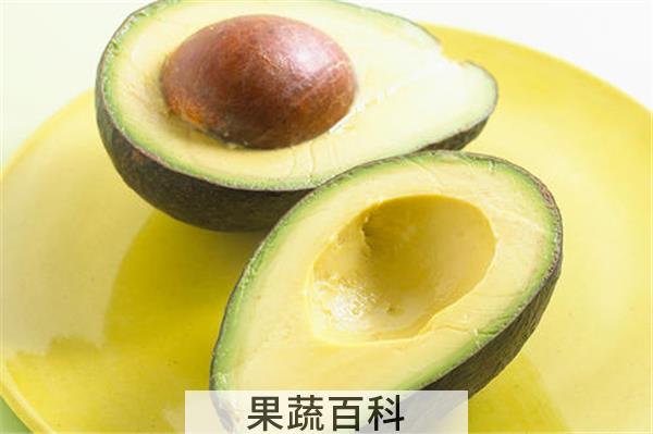 牛油果代表的寓意