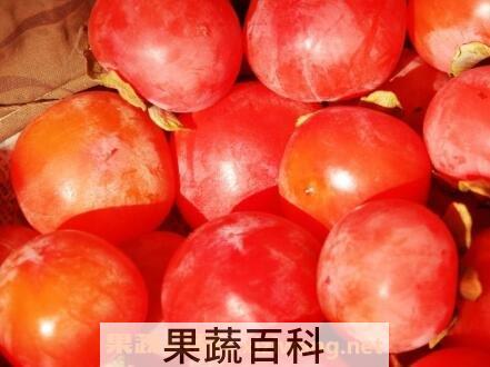 柿子怎么催熟 柿子如何快速催熟